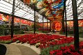 EBL_20160124_124412_008912