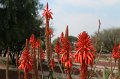 EBL_20151206_191049_008258