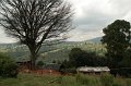 IMG_7918