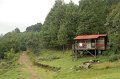 IMG_7951