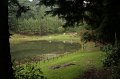 IMG_7968
