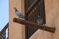 IMG_4861