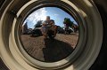 EBL_20170827_141515_019852