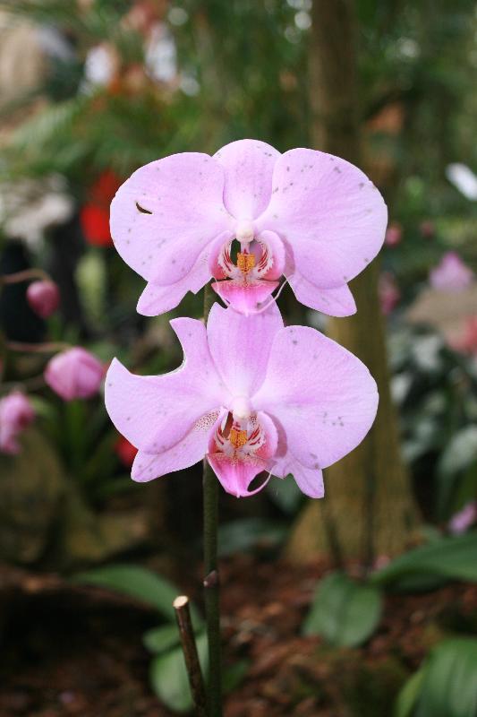 EOS_20080203_0216.JPG