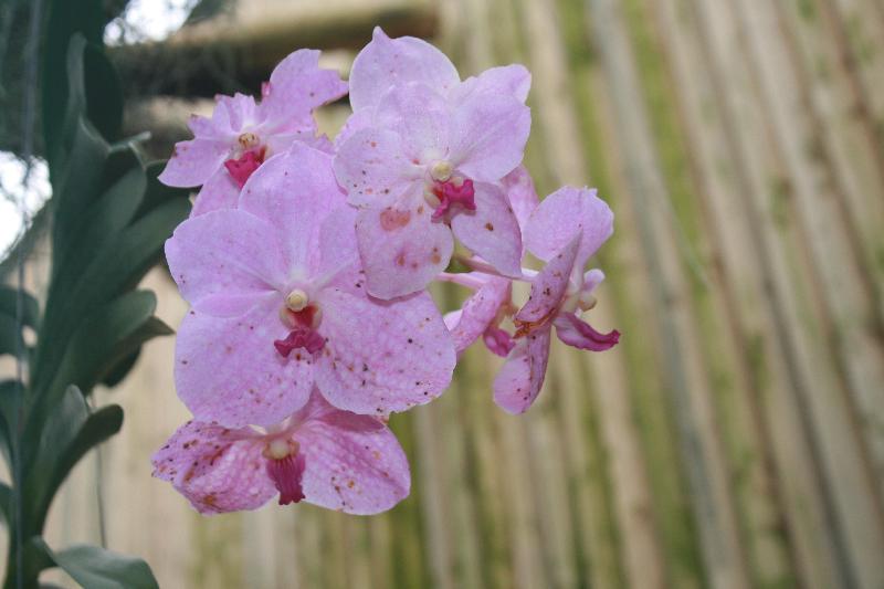 EOS_20080203_0217.JPG