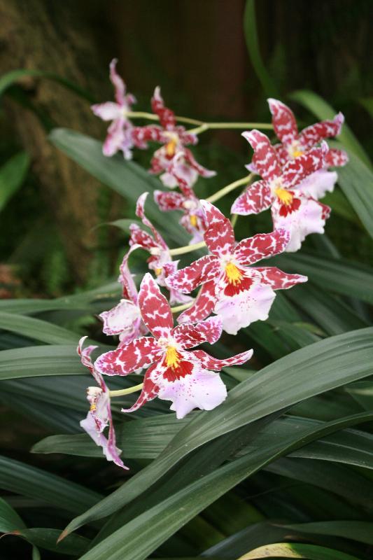 EOS_20080203_0218.JPG