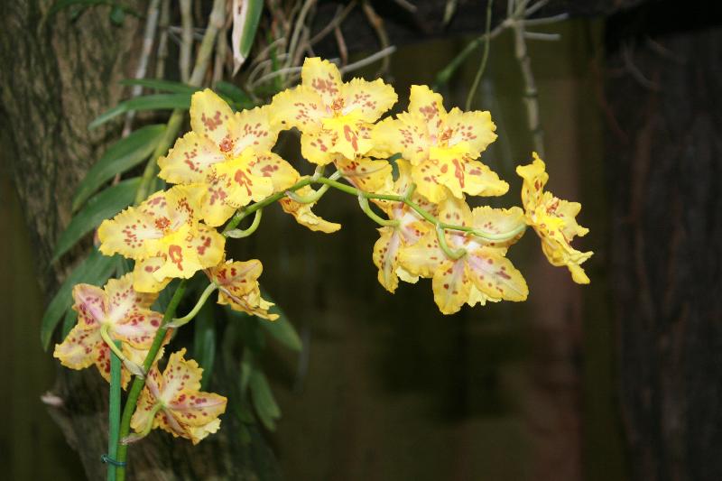 EOS_20080203_0219.JPG