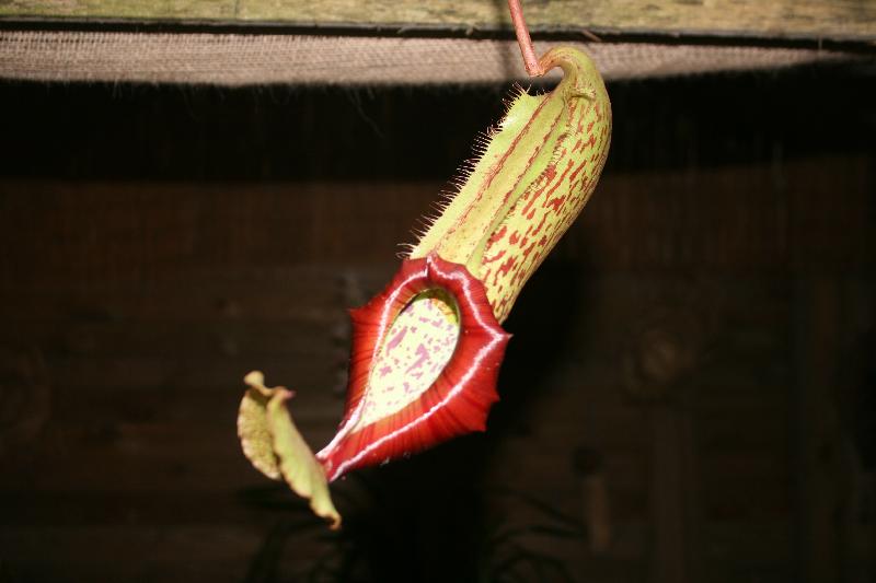EOS_20080203_0224.JPG