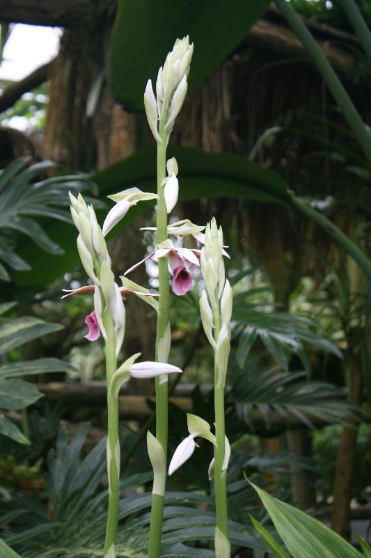 EOS_20080203_0229.JPG