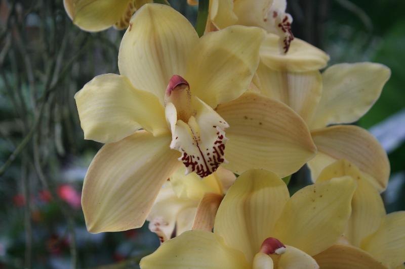 EOS_20080203_0230.JPG