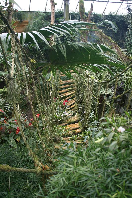 EOS_20080203_0231.JPG