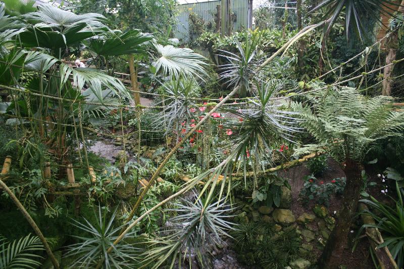 EOS_20080203_0232.JPG