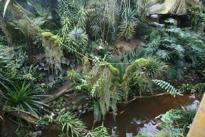 EOS_20080203_0233.JPG