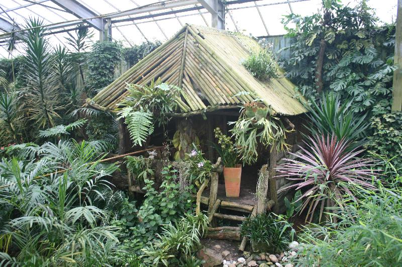 EOS_20080203_0236.JPG