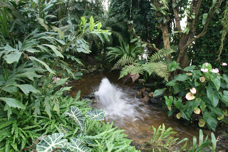 EOS_20080203_0238.JPG