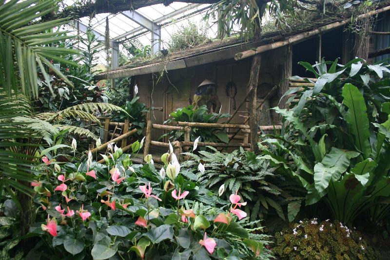 EOS_20080203_0244.JPG