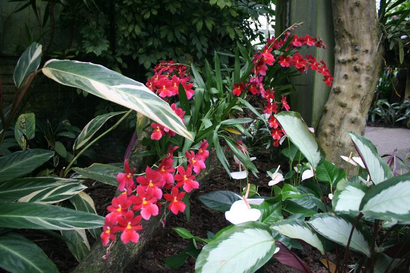 EOS_20080203_0245.JPG