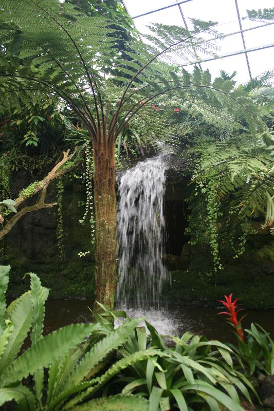 EOS_20080203_0257.JPG