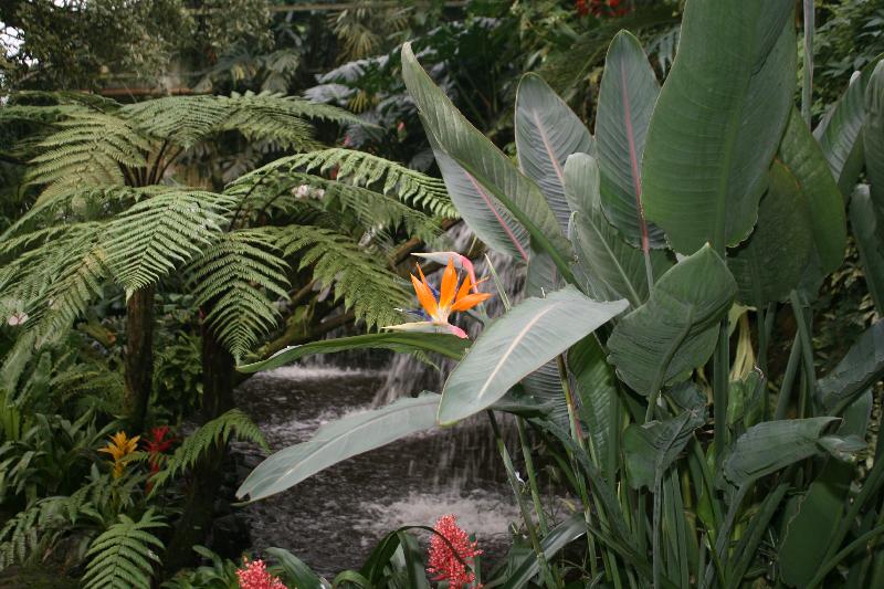 EOS_20080203_0260.JPG
