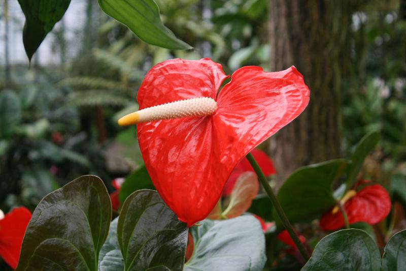 EOS_20080203_0261.JPG