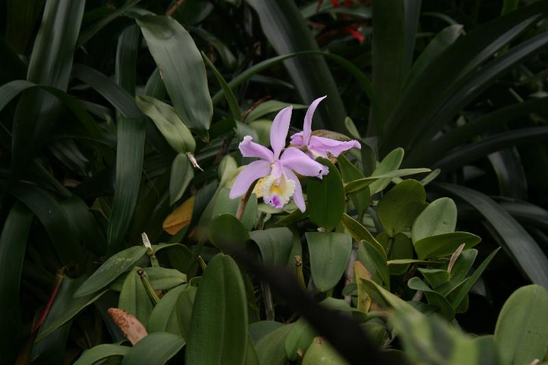 EOS_20080203_0263.JPG