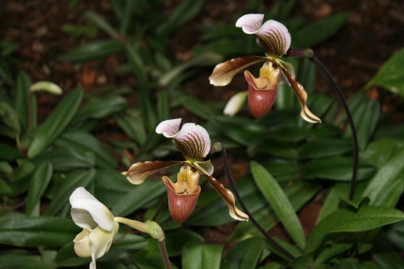 EOS_20080203_0264.JPG
