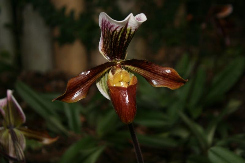 EOS_20080203_0265.JPG