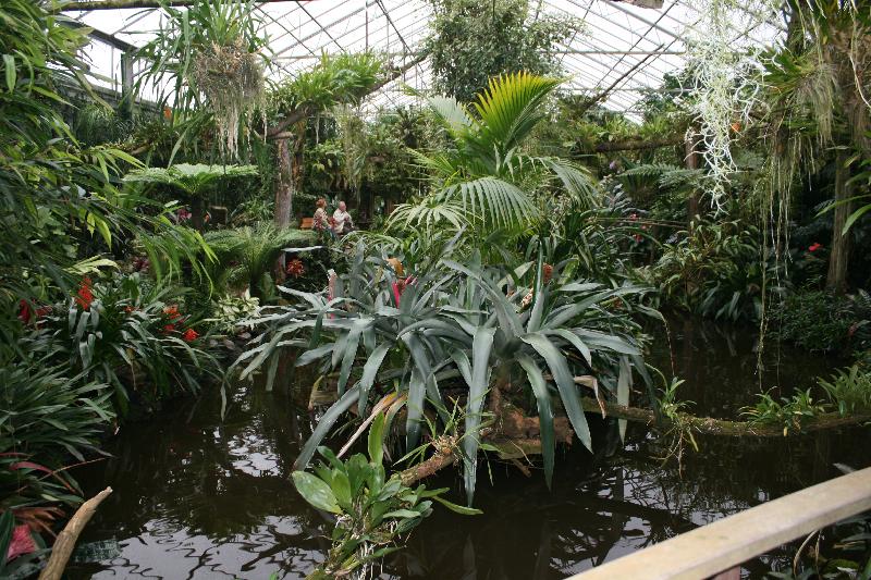 EOS_20080203_0267.JPG