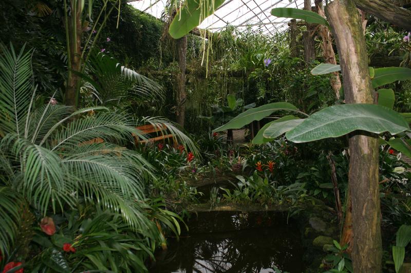 EOS_20080203_0268.JPG