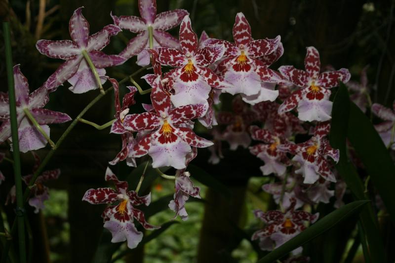 EOS_20080203_0269.JPG