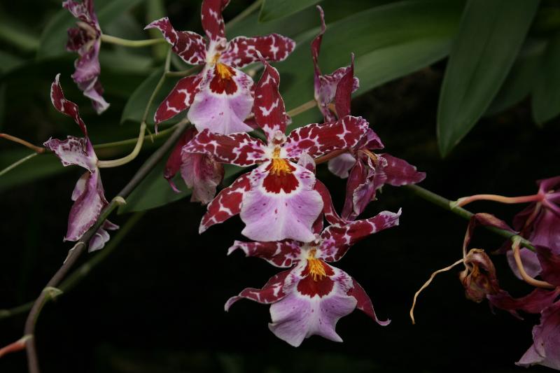 EOS_20080203_0273.JPG