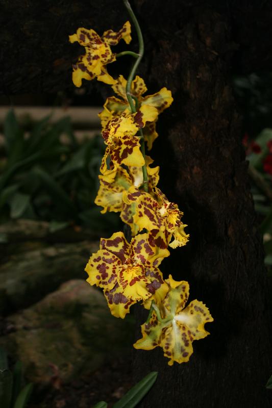 EOS_20080203_0274.JPG