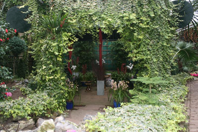 EOS_20080203_0277.JPG