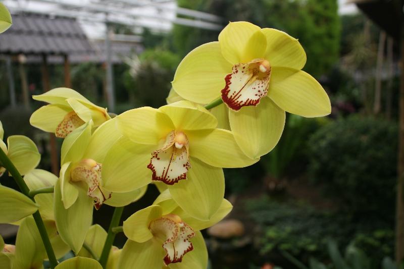 EOS_20080203_0282.JPG
