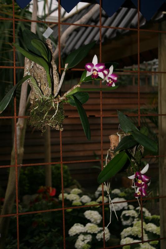 EOS_20080203_0285.JPG