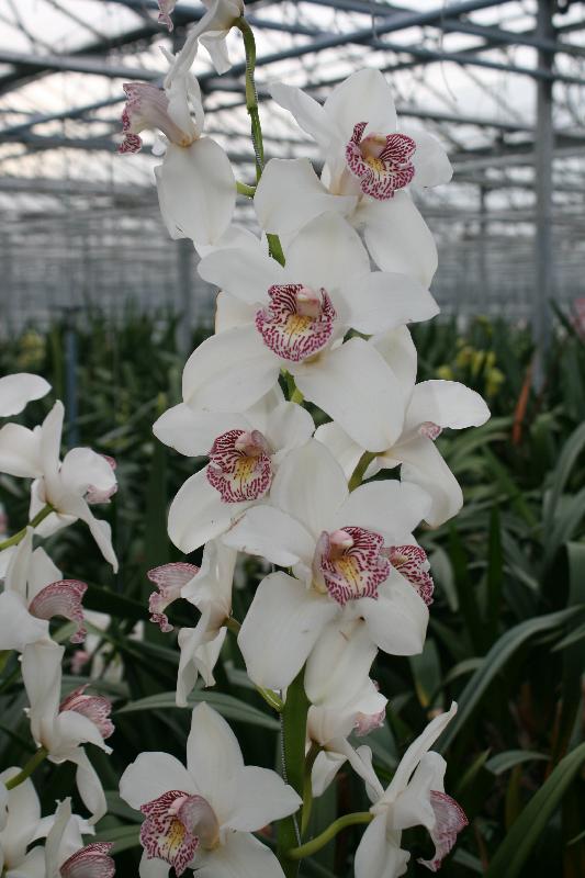EOS_20080203_0291.JPG