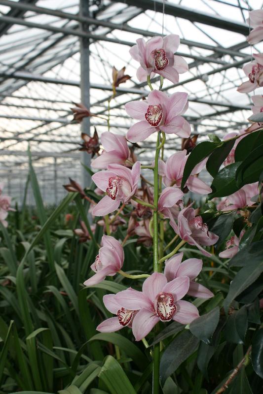 EOS_20080203_0293.JPG