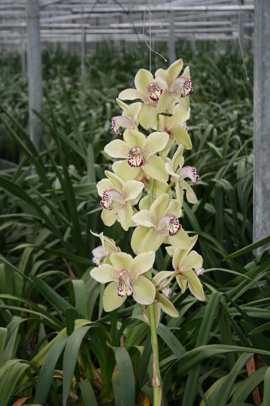 EOS_20080203_0295.JPG