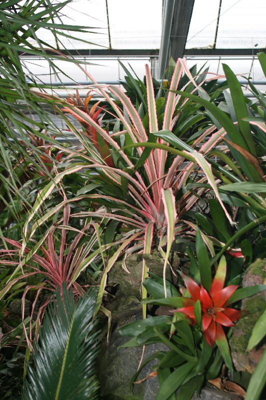 EOS_20080203_0299.JPG