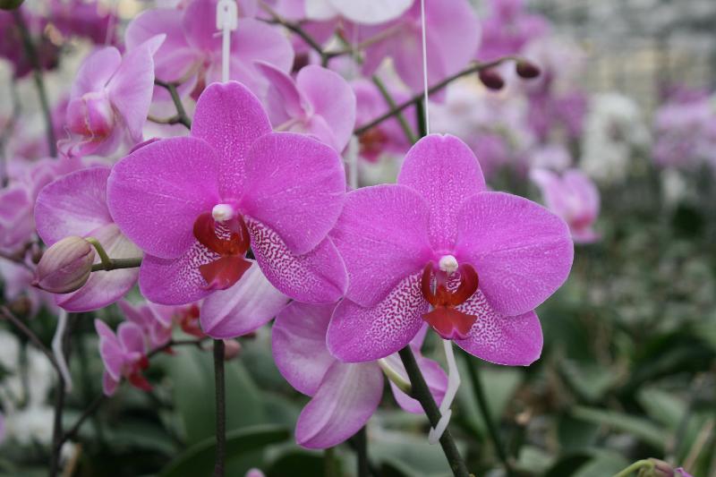 EOS_20080203_0304.JPG