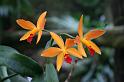 EOS_20080203_0221