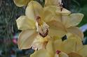 EOS_20080203_0230