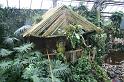 EOS_20080203_0235