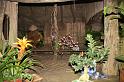 EOS_20080203_0243