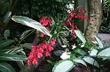 EOS_20080203_0245