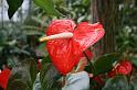 EOS_20080203_0261