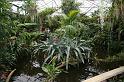 EOS_20080203_0267
