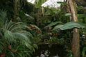 EOS_20080203_0268