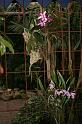 EOS_20080203_0284
