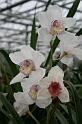 EOS_20080203_0294